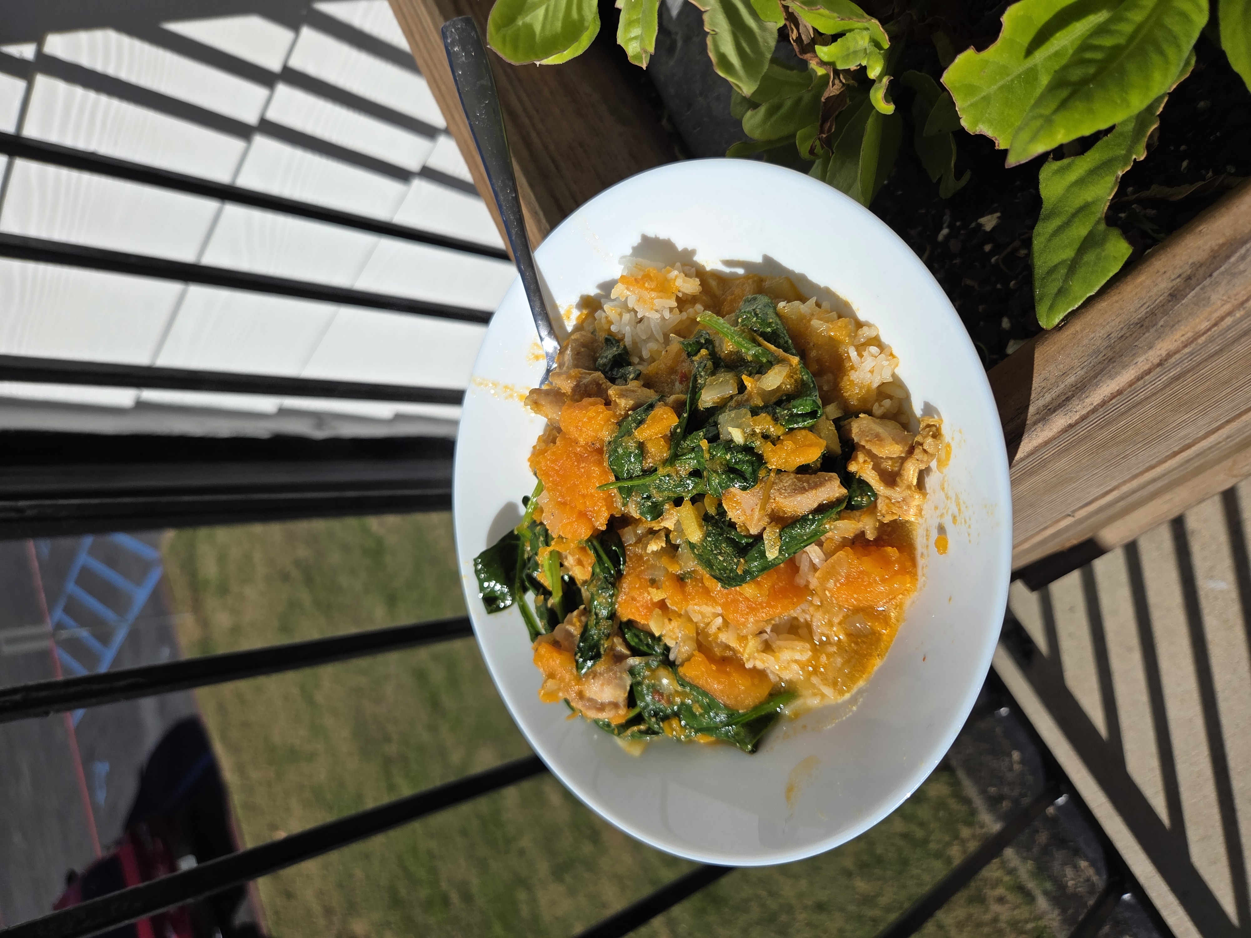Sweet Potato Coconut Curry